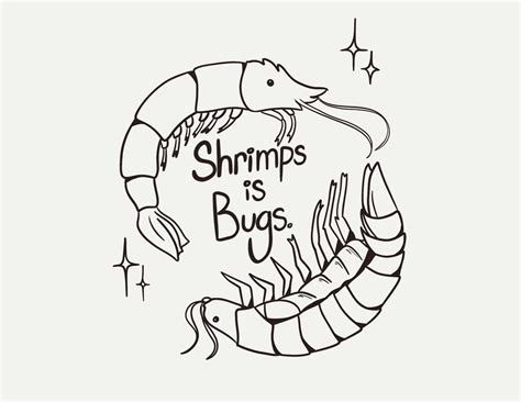 I can officially say i'm obbsessed probably : r/ShrimpsIsBugs