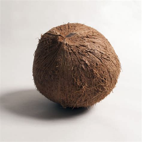 Coconut Hybridization Program 的图像结果