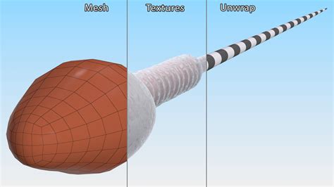 Human Sperm Cell Rigged for Maya 3D | 3D Molier International