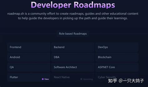 Python Pathway 的图像结果