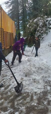 Home [shimlamc.hp.gov.in]