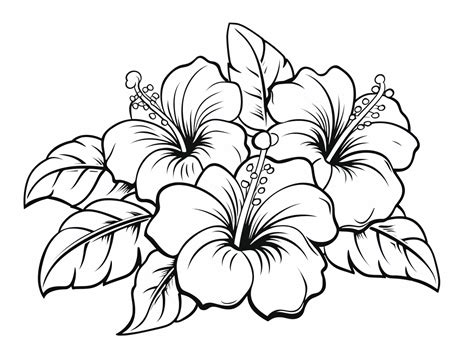 Hawaiian Flowers Drawings Easy