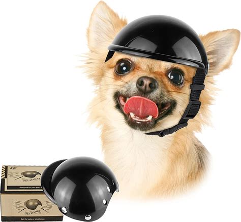 Dog In Helmet