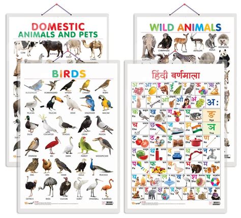 Set of 4 Domestic Animals and Pets, Wild Animals, Birds and Hindi ...