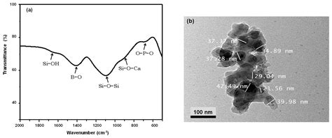 Viscoelasticity, Mechanical Properties, and In Vitro Bioactivity of ...