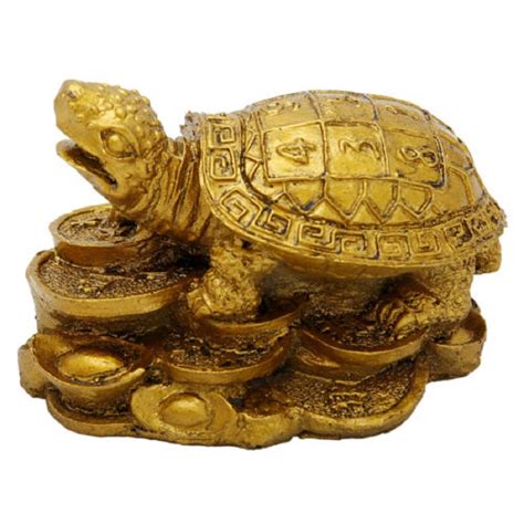 Buy numeroastro Feng Shui Tortoise On Coins for Vastu & Feng Shui ...