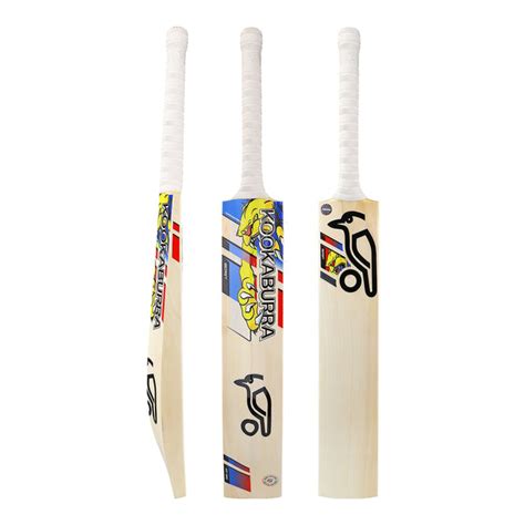 Glenn Maxwell Beast Cricket Bat in India | Power Hitter’s Choice ...