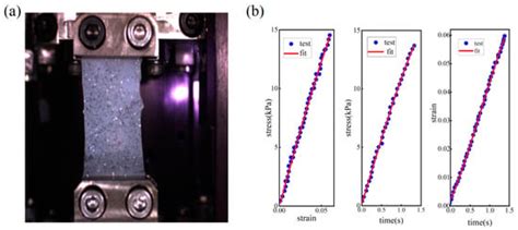 Real-Time Nondestructive Viscosity Measurement of Soft Tissue Based on ...