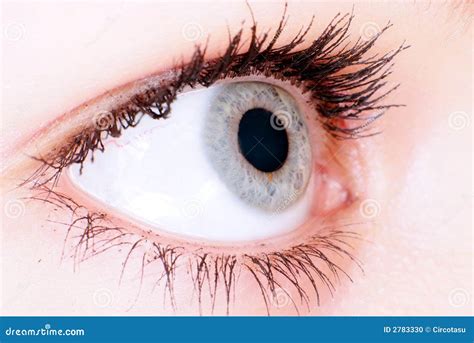 Blue Eye Macro Bot Tutorial 的图像结果