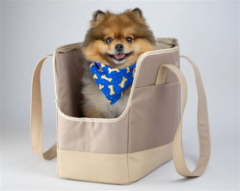 30+ Discreet Dog Purse Carrier Options For Stylish Pups - Hey, Djangles.