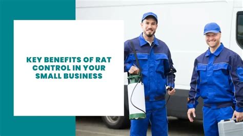 Small Business Investing in Stocks 的图像结果