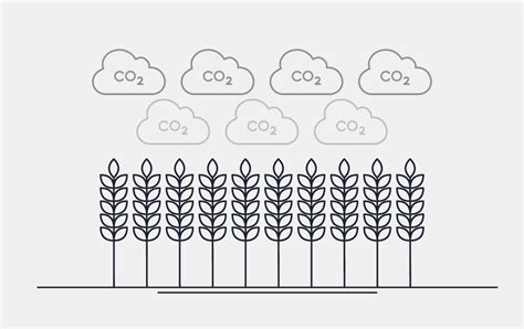 Biofuel Process 的图像结果