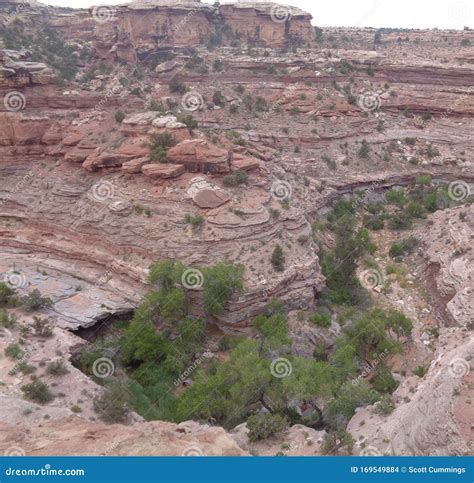 Early Summer in Utah: View from Big Spring Canyon Overlook in the ...