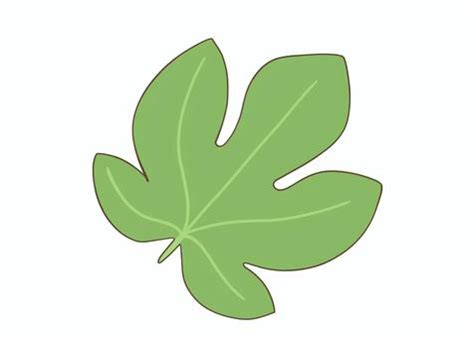 Image result for How to Set the Path Using Java