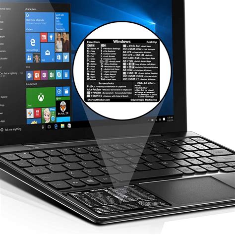 Buy SYNERLOGIC Windows PC Reference Keyboard Shortcut Vinyl Sticker ...