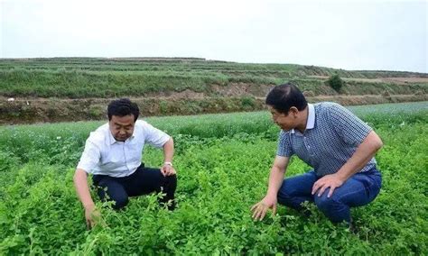 承包土地国家补贴多少钱一亩？有哪些条件？ - 知乎