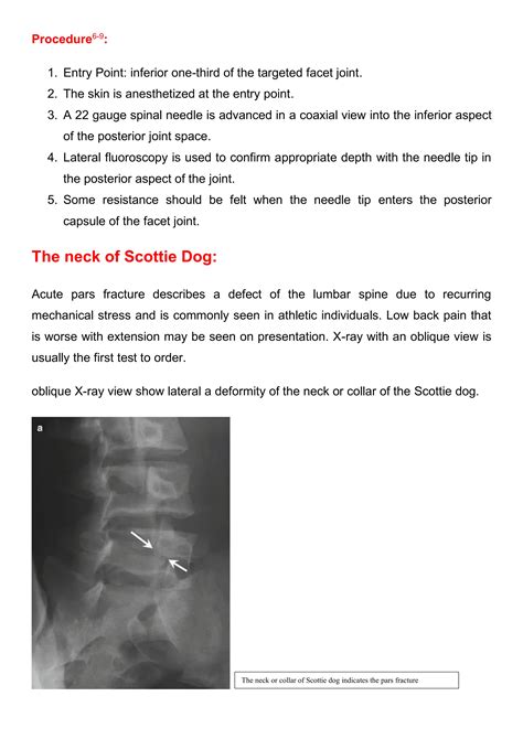 Scottie Dog Sign.pdf