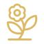 DLF Aralias | Gurgaon | Luxury Apartment