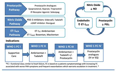 emDOCs.net – Emergency Medicine EducationPharmacotherapy of Pulmonary ...