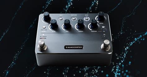 Image result for Neural Cortex Rig