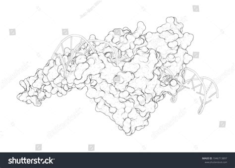 Image result for ATF Operating Structure