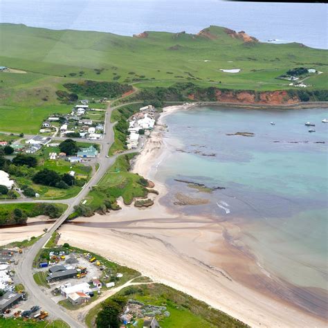 WAITANGI BAY BEACH (2025) All You Need to Know BEFORE You Go (with ...
