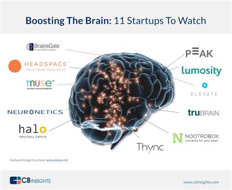 脑科学百亿市场深度解析：下一个十年，是脑科学的十年|脑机接口_新浪新闻