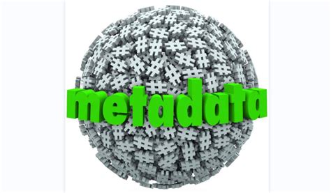 Metadata Management Logo 的图像结果