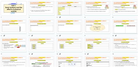 Image result for Understanding Energy Systems Exercise