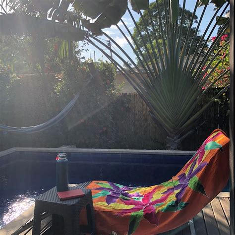 TRIBE (Palomino) - Specialty Inn Reviews & Photos - Tripadvisor