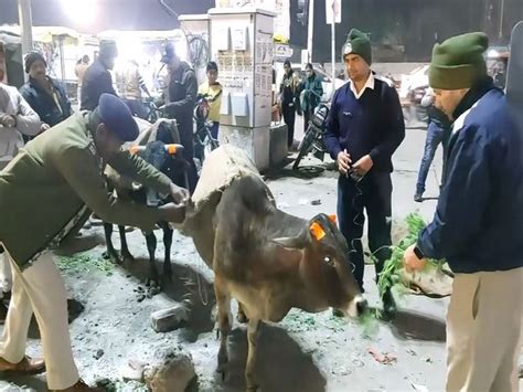 Innovative initiative by traffic police in Chhatarpur to curb accidents ...