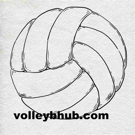 Drawing Volleyball - volleybhub