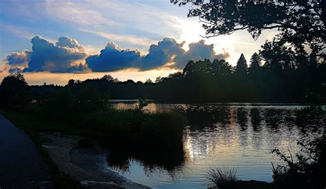 VIRGINIA WATER CAFÉ (2026) All You Need to Know BEFORE You Go (with ...