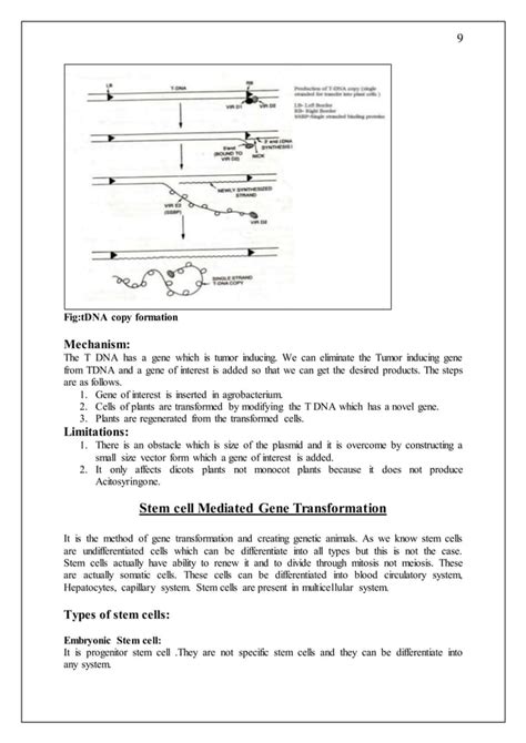 Transformation Genetics 的图像结果