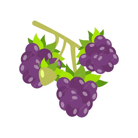 Premium Vector | A bunch of purple grapes with a flat shape vector illustration on a white ...