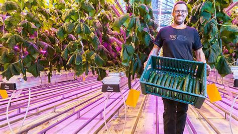 How does light affect plants and people differently? | Philips lighting