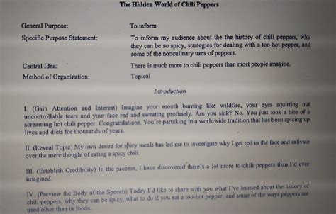 Example of Informative Speech 的图像结果