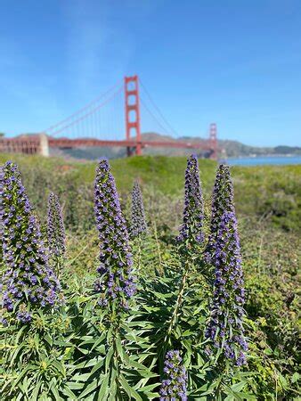 Golden Gate Rides (San Francisco) - 2022 What to Know Before You Go ...