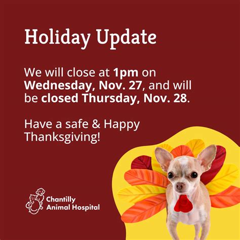 Chantilly Animal Hospital | Meet Mia!! 🐾 Mia's first vet visit with us ...