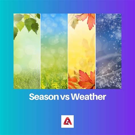 Season vs Weather: Difference and Comparison