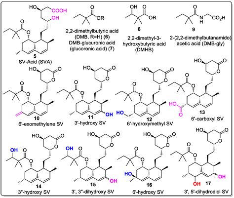 Simvastatin: In Vitro Metabolic Profiling of a Potent Competitive HMG ...