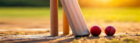 Maxone Cricket Coach