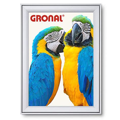 GRONAL® Wechsel-Plakatrahmen Alu wasserfest kaufen im Großhandel Shop