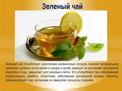 Зеленый чай и давление: повышает или понижает