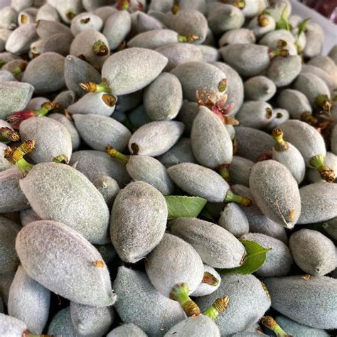 Jmart International Market (@jmart_international_market) • Instagram ...