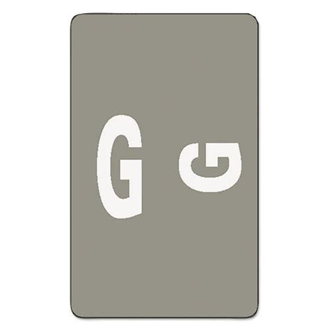 Buy Alpha-Z Color-Coded Second Letter Labels, Letter G, Gray, 100/Pack ...