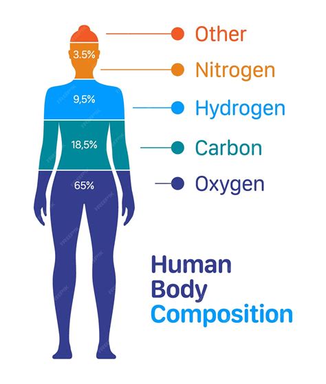 Premium Vector | Woman body composition vector chart percentage list of chemical elements within ...