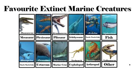 Image result for Extinct Sea Creatures