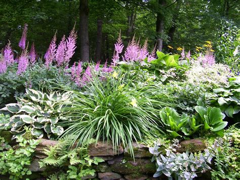 Shade Perennial Flower Bed Ideas at Chloe Roy blog