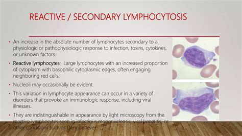 What Happens When Lymphocytes Are High